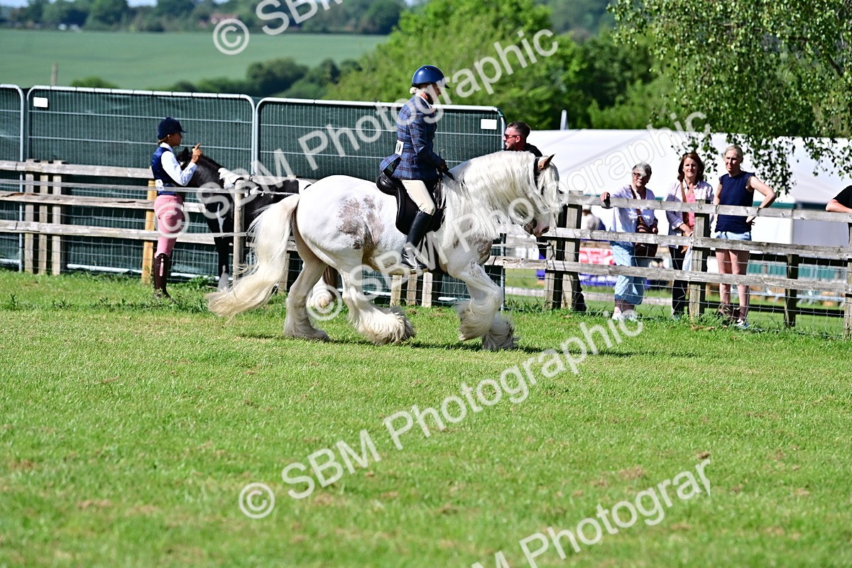 SBM_09378 - Class 63-65 - Traditional Gypsy Cobs In Hand & Ridden