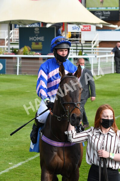 yr12052021r7-10 - Race 7 4.50 pm Conundrum HR Consulting Stakes