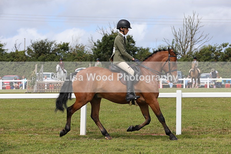1X9A3948 - Class 32: Show Hunter Pony 153cm and under
