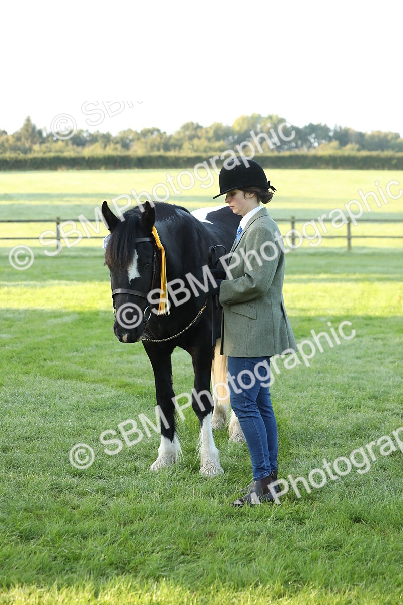 SBM_57883 - S42 - Youngstock