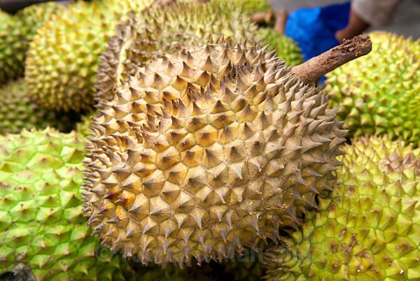  - Vietnam