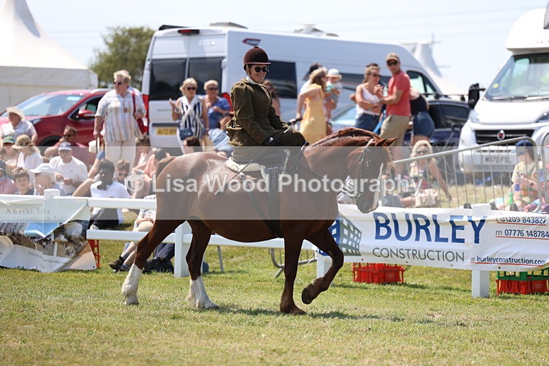 3E7A9581 - Class 13: Side Saddle