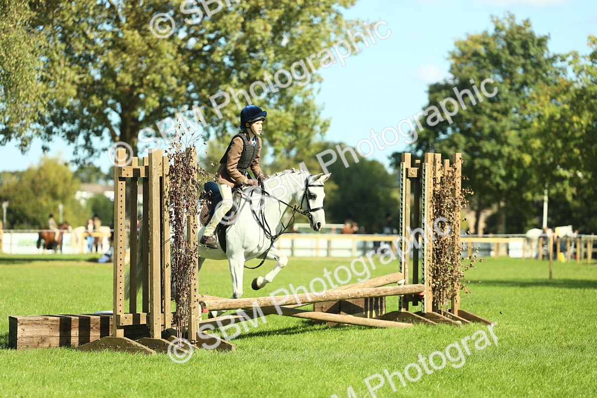 SBM_39193 - S29 - Novice & Newcomers Working Hunter Pony