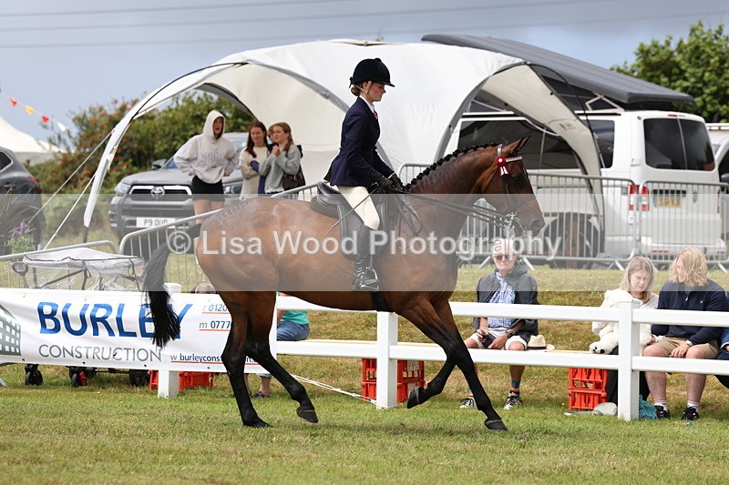 3E7A0878 - Class 8: Open Riding Horse/Hack