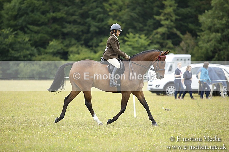 BVR160717-301 - Ring 1 BVRC Show 16/07/17