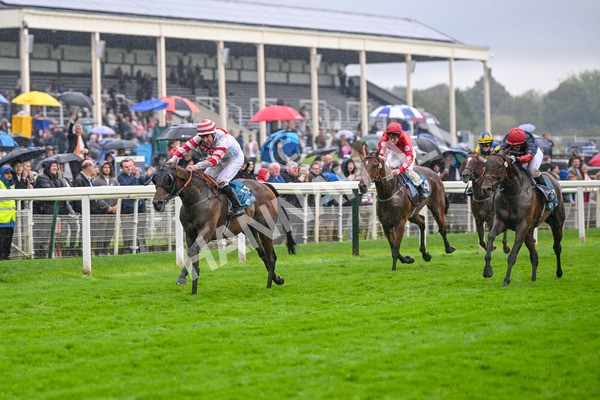 080924-Race 7-Young Fire-9697 - Race 7 5.10pm Elevator Company Amateur Jockeys' Handicap