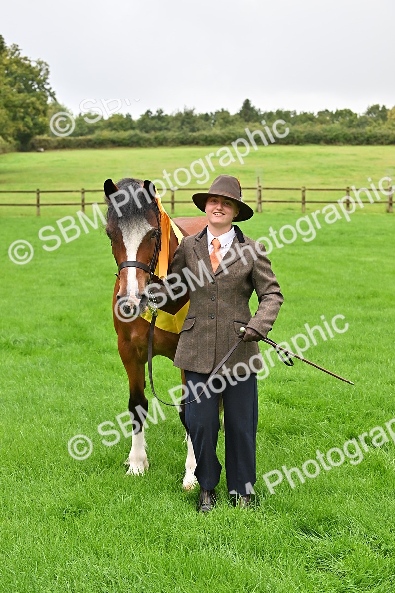 SBM_32658 - S15 - Top Turnout In Hand