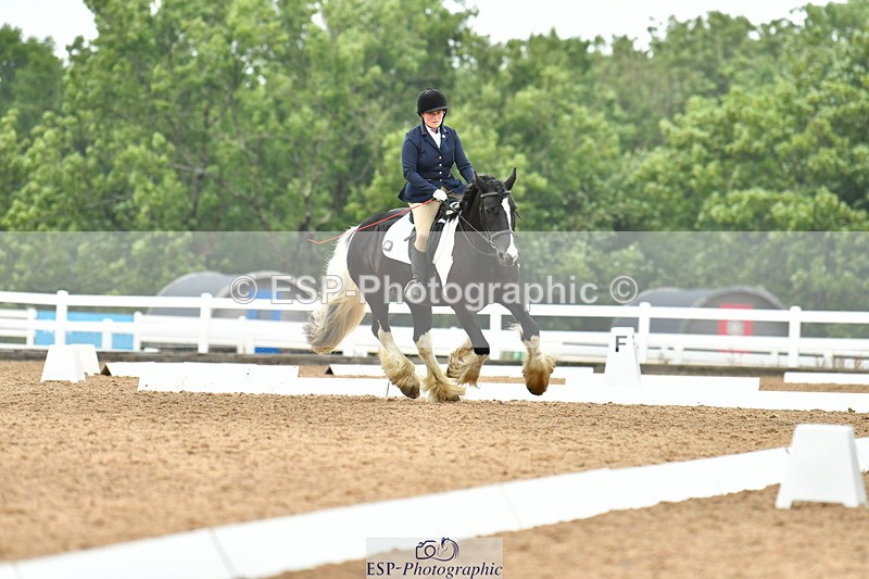 230708A-105316-02439 - Prelim 13