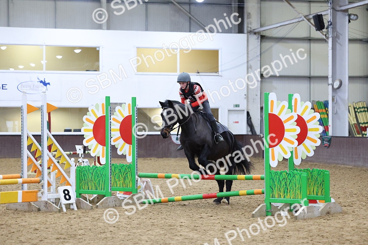 SBM_001167 - Class 3 - Christmas Tree Stakes - 60cm