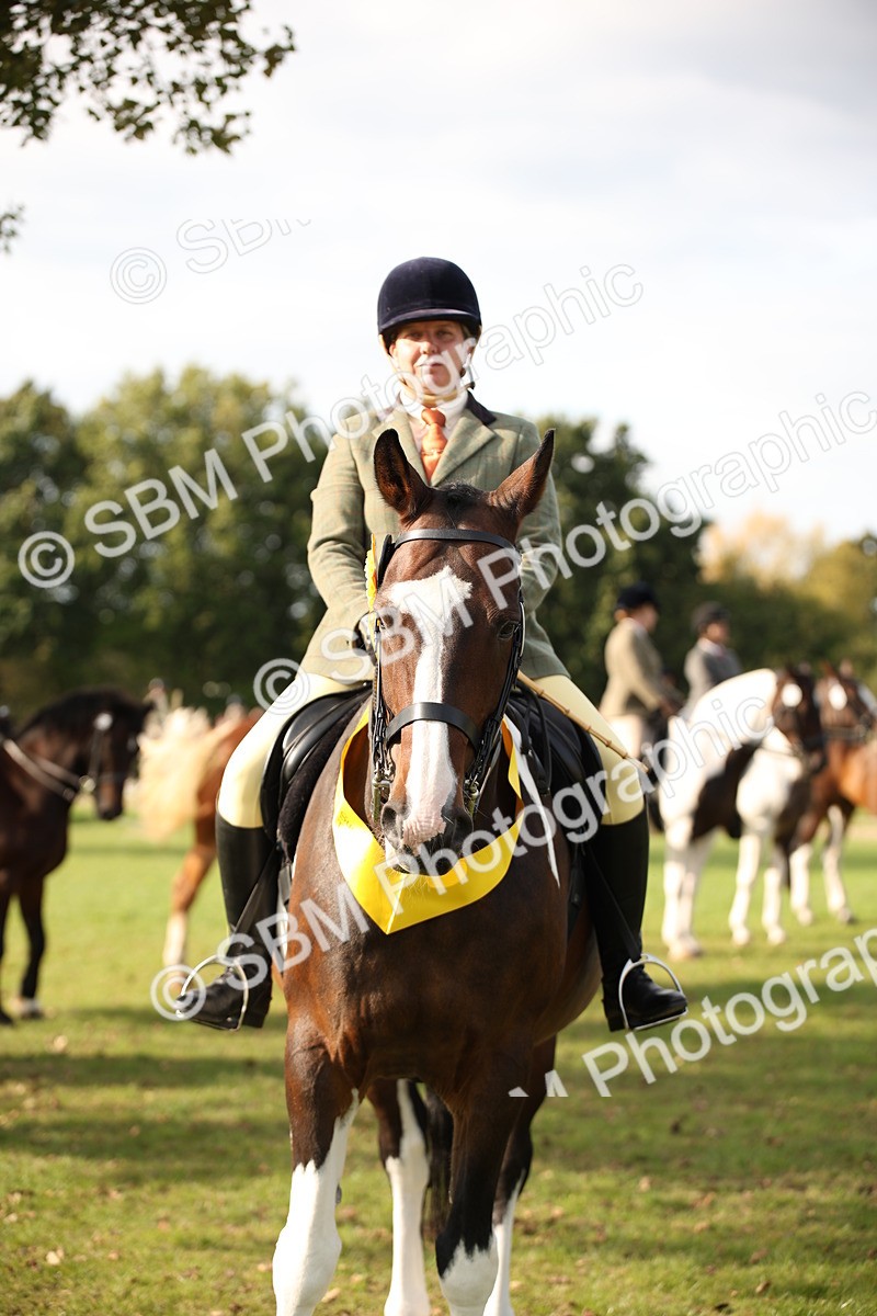 SBM_50244 - S26 - Young Veteran - Ridden