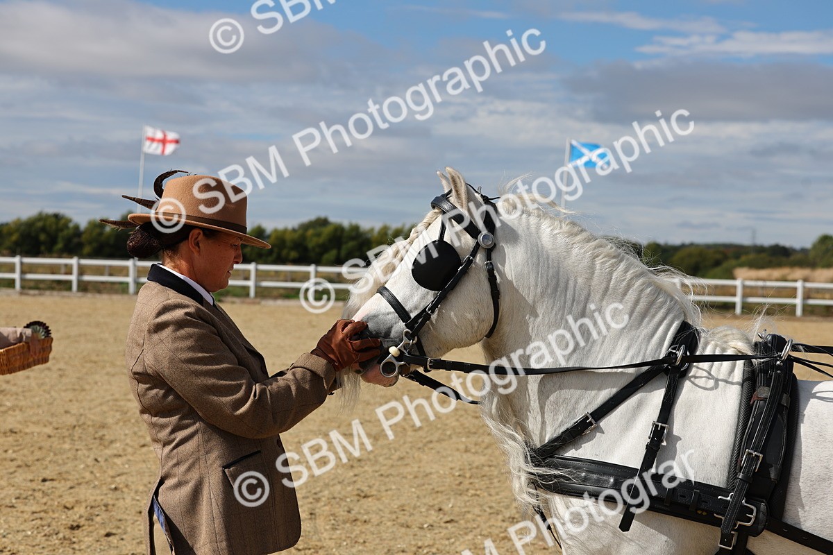 SBM_001243 - Class 16 - Pairs ,Multiples and Tandems