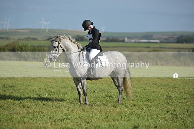 RAY_7408 - Class 2B: Trekenning Open: Dressage
