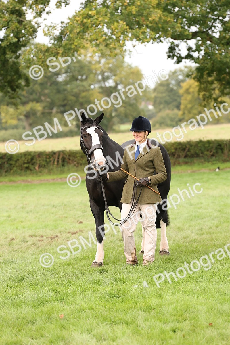 SBM_57520 - S56 - Show Cob in Hand