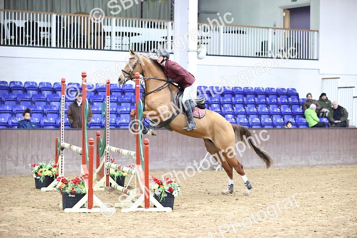 SBM_1914 - Class 8 - Nupafeed Supplements Senior Discovery/ 1m Open