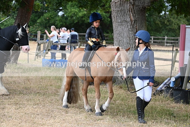 WJ6_8891 - Class 11 Fancy Dress