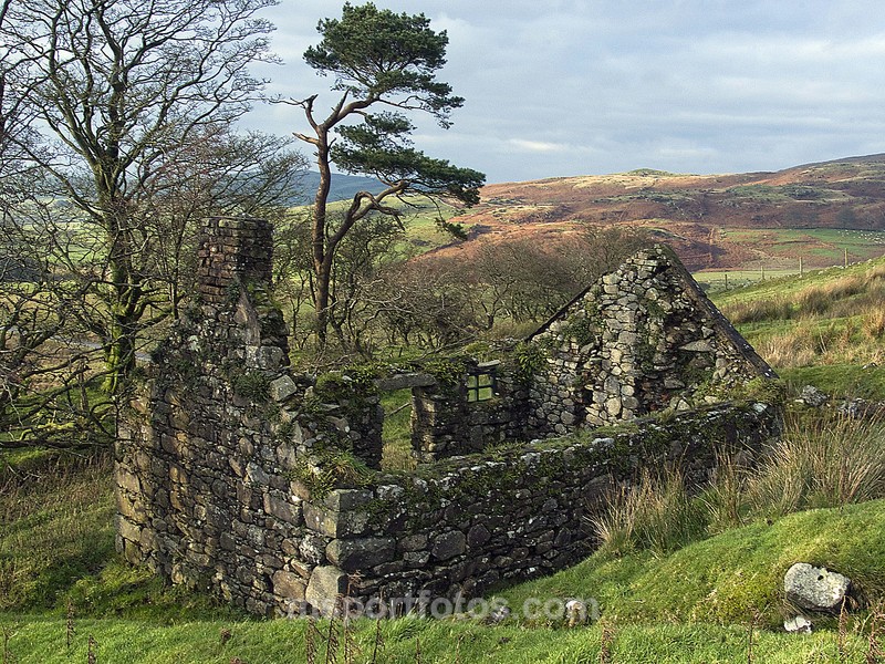 Famine house  on SlieveCroob - Irelands landscapes