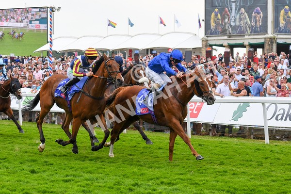 170623-Race 2-Wild Lion-0363 - Race 2 2.35pm Sky Bet Handicap