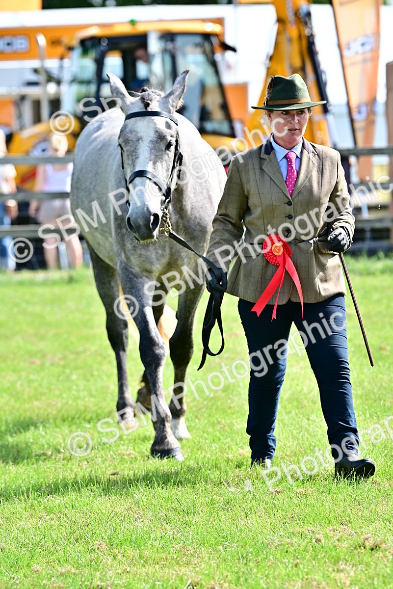SBM_03356 - Class 50 - 54 Light Horse Breeding