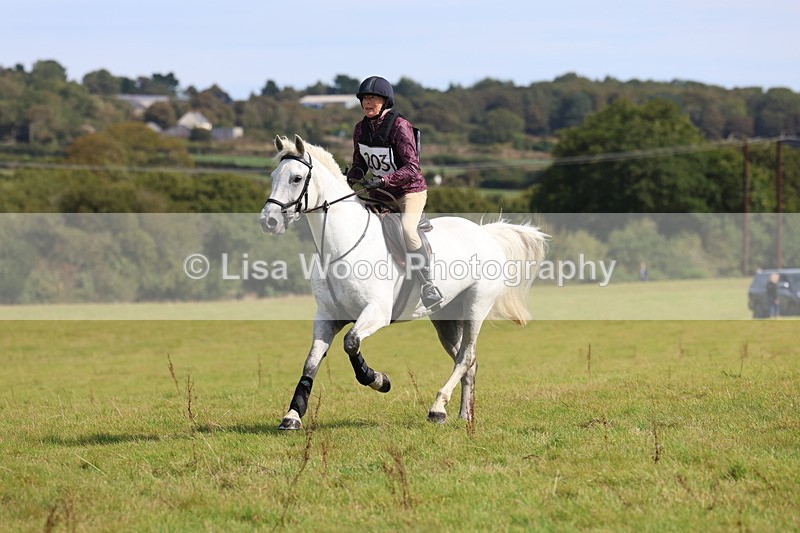 3E7A6767 - Class 2: Trekenning Open: Yellow Boat