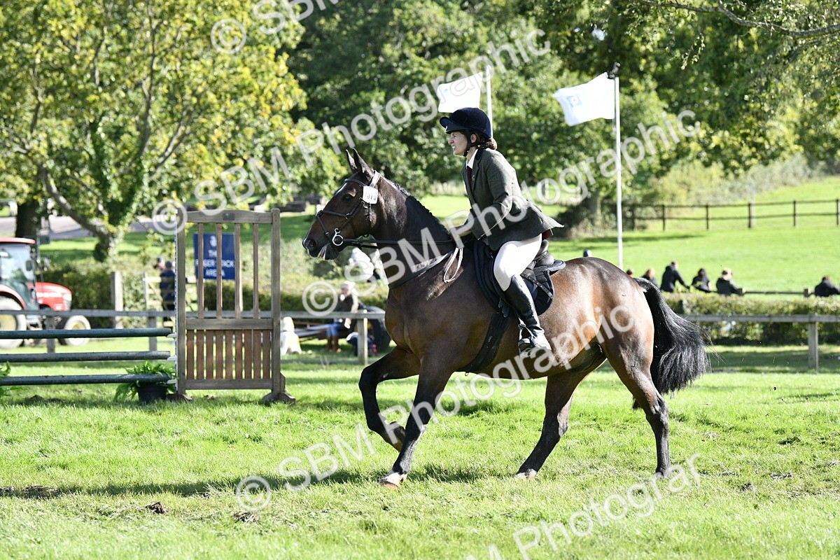 SBM_50064 - S34 - Novice & Newcomers Working Hunter