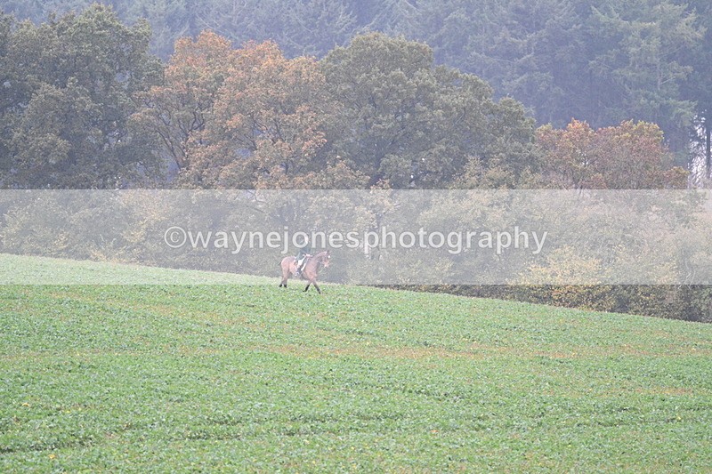 WJ7_8874 - Camera 1 only on this line