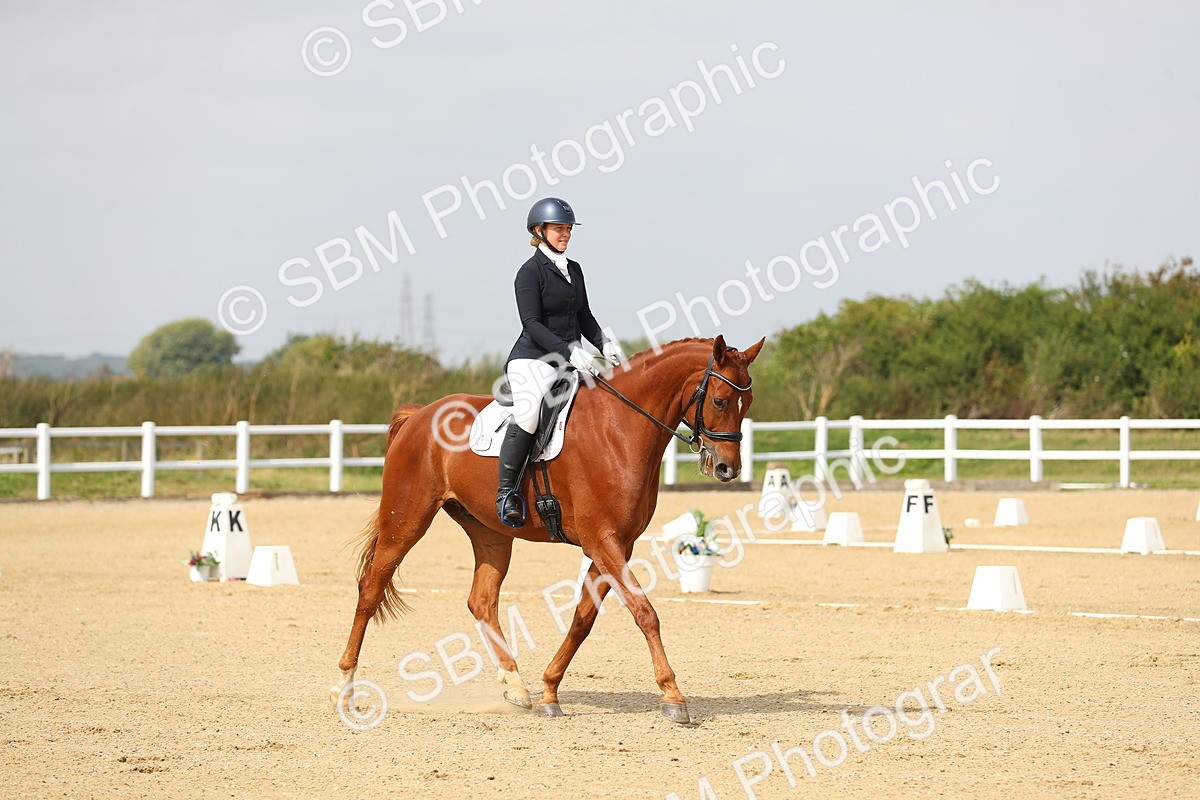 SBM_017279 - Class 13 - Novice 23 - 13.31-14.13