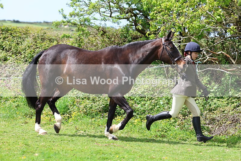 3E7A0472 - Class 20: Sports Horse