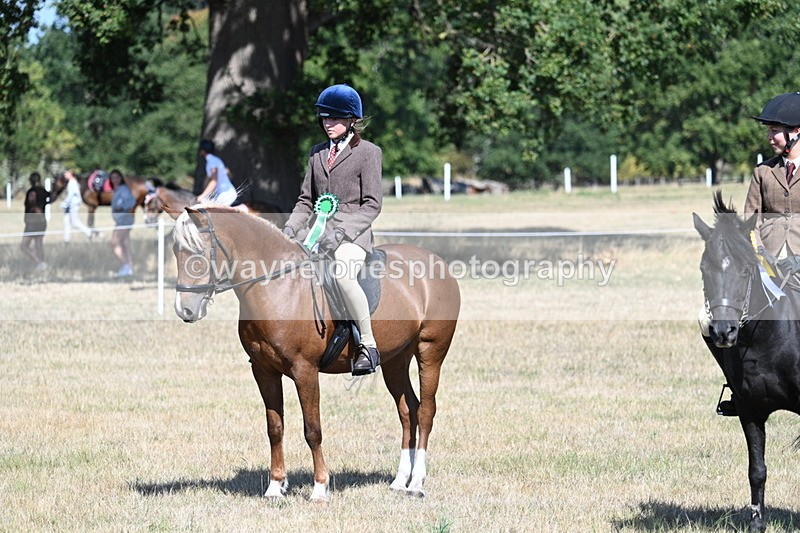 WJ7_4176 - Class 9 Mountain & Moorland Ridden