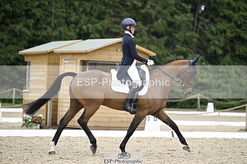 240523-144927-05110 - 442-FERNHILL_ZORO-Cassie_Sanger