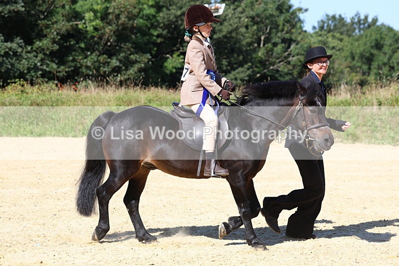 3E7A8082 - Class 15: Lead Rein