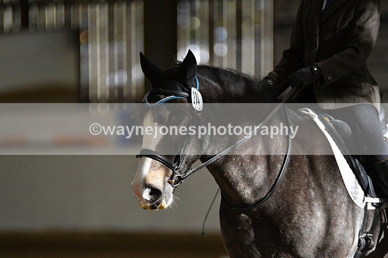 WJ5_6970 - Class 2 Intro Test 2