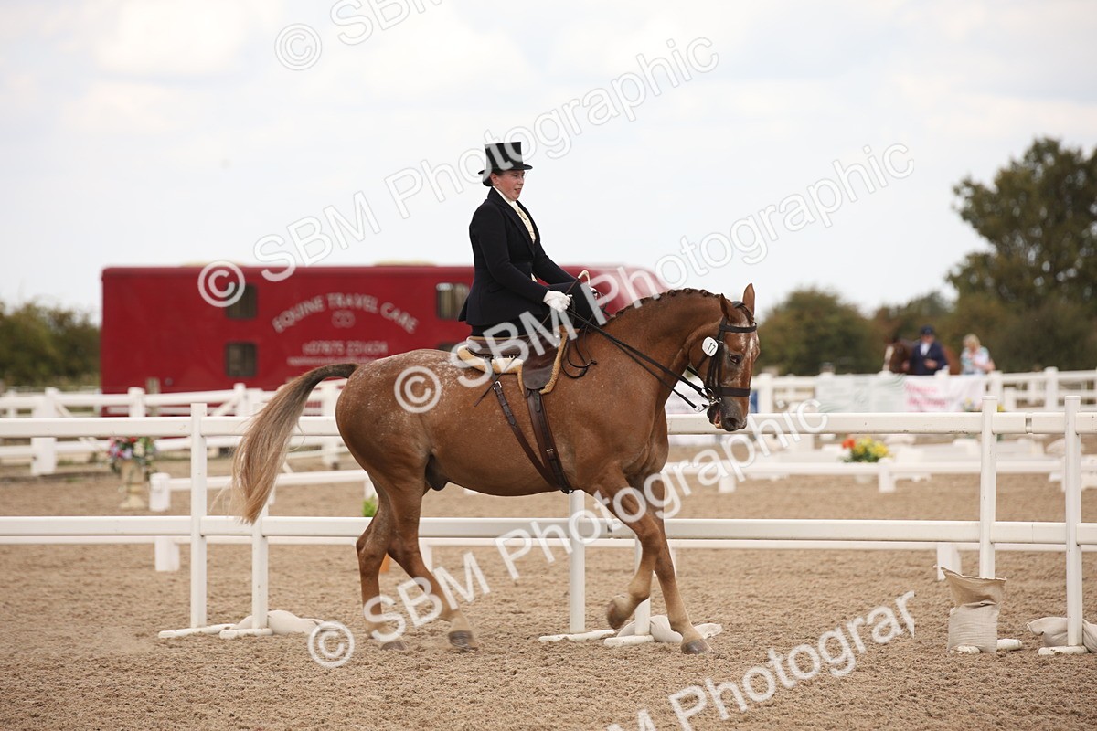 SBM_05340 - Class 22 SSA Equitation