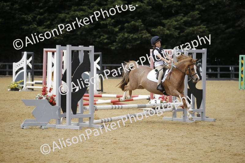 20250622-4621 - 50cm