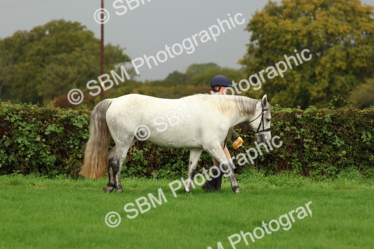 SBM_32907 - S8 - Best Turned Out