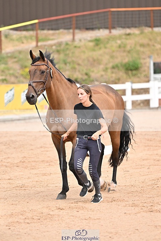 250716-150732-01655 - Trot Up 2.30 to 3.30