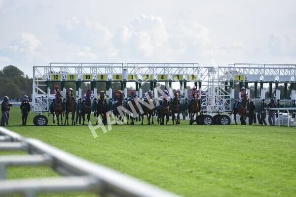 yr13052021r7-8 - Race 7 4.50pm Autohorn Stakes