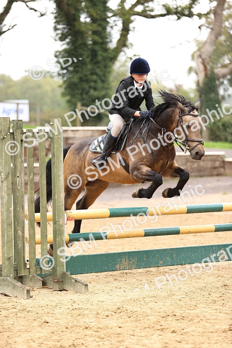 SBM_70013 - Supreme Championship 80cm 85cm