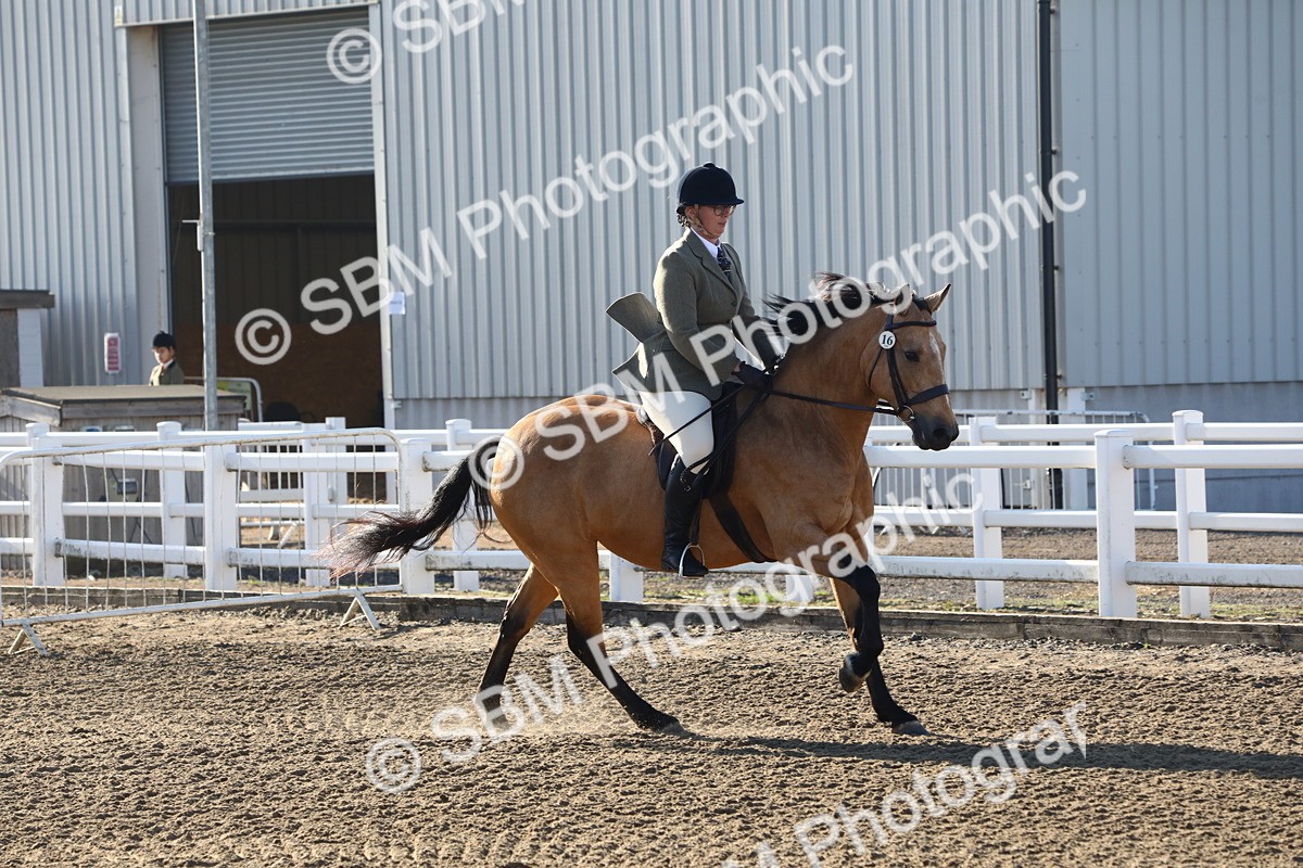 SBM_07909 - Class 501 - Riding Club Pony