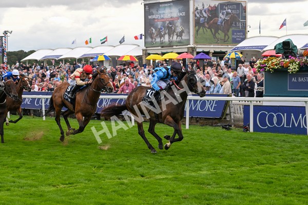 220825-Race 4-Asfoora-7533 - Race 4 3.35pm Coolmore Wootton Bassett Nunthorpe Stakes