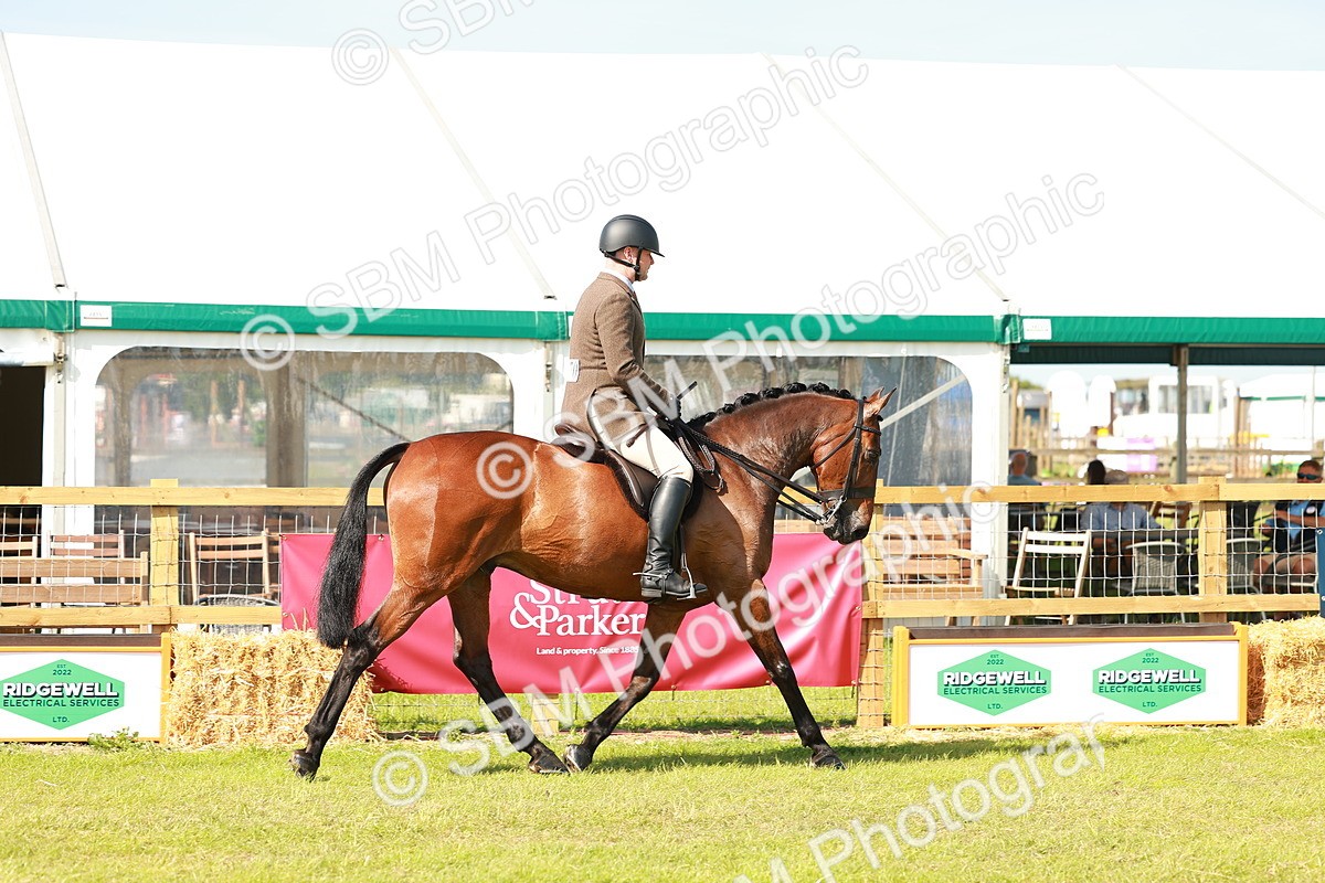 SBM_12013 - Class 66-69 - RIHS Ridden Hunters Inc Small Hunter
