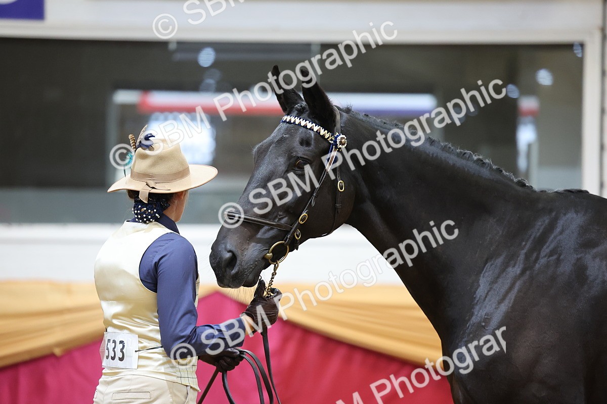 SBM_20864 - Class 902 - Supreme Final IH Veteran