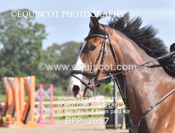 BPP_3657 - CLASS 4 Senior BritiNovice/ 90cm Open