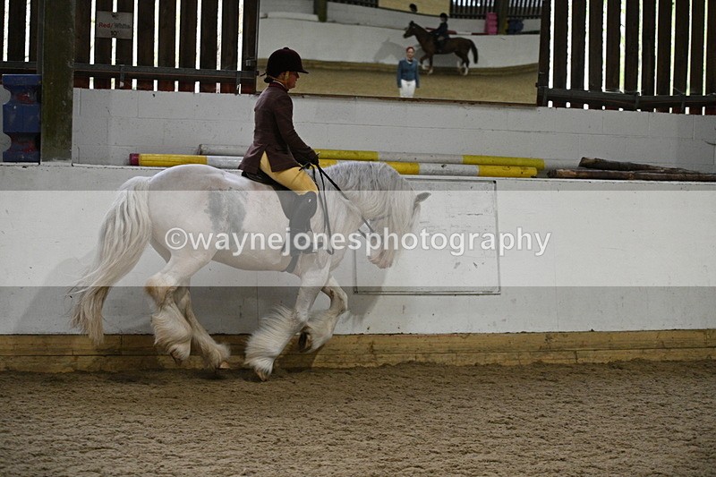 WJ7_3816 - Class 17 Ridden Cob