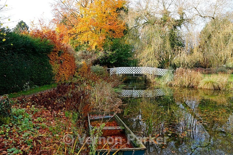 Autumn at Goodestone water gardens - Norfolk