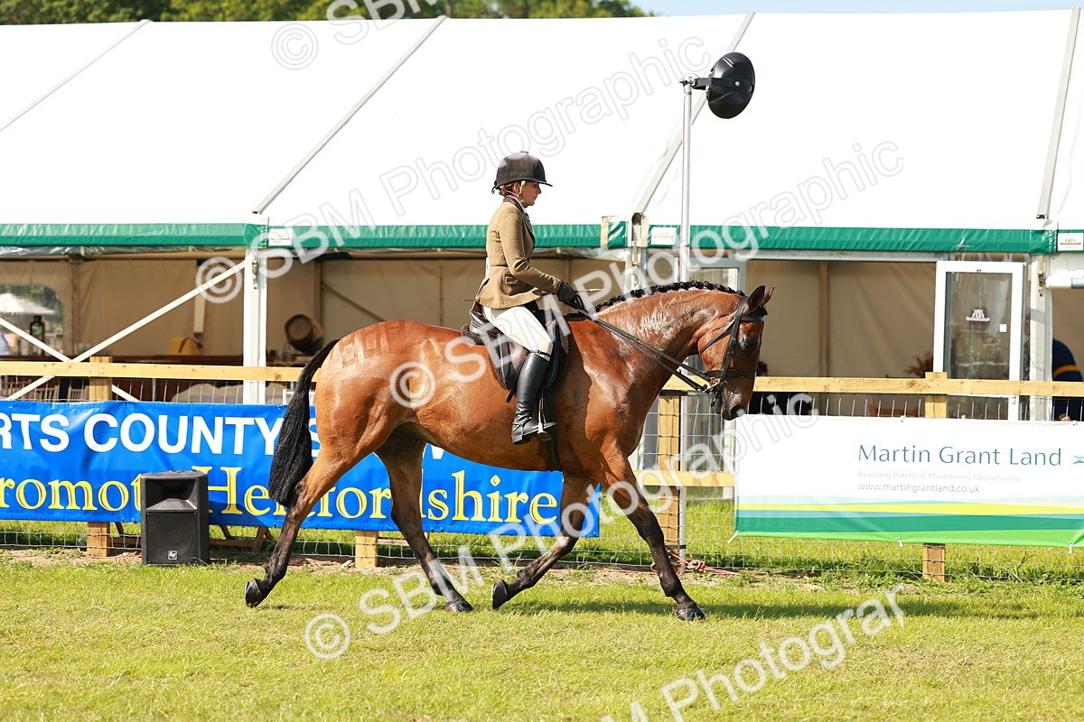 SBM_12015