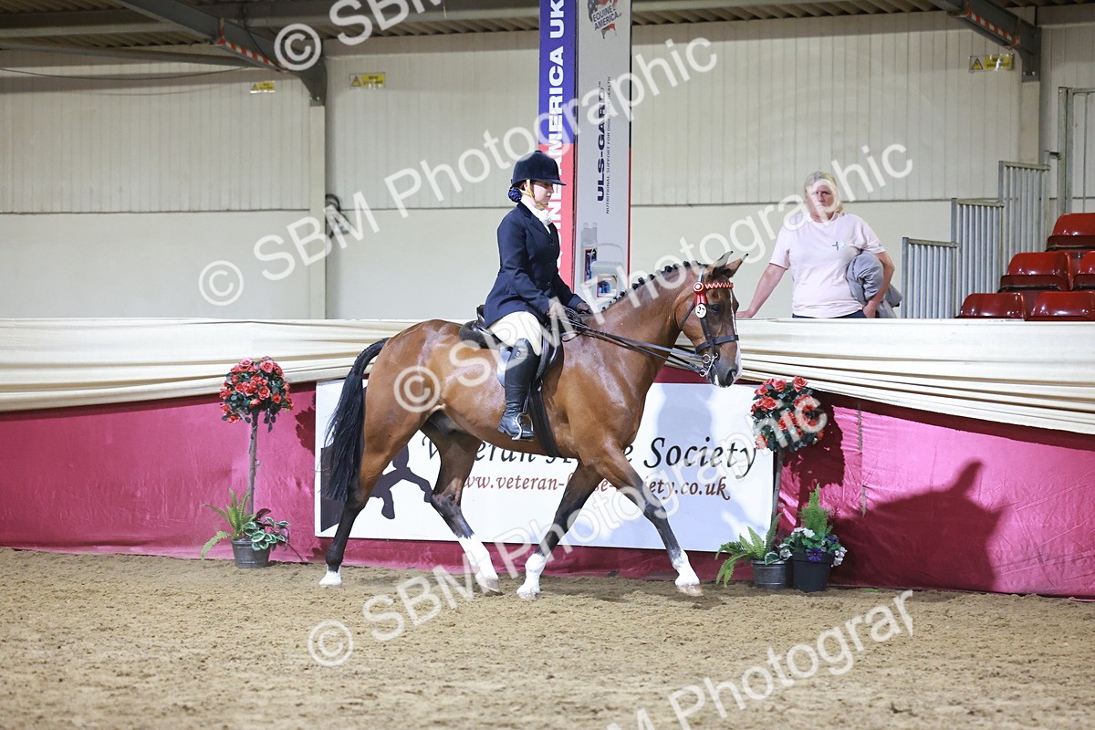 SBM_21138 - class Q - Ridden Horse Champ