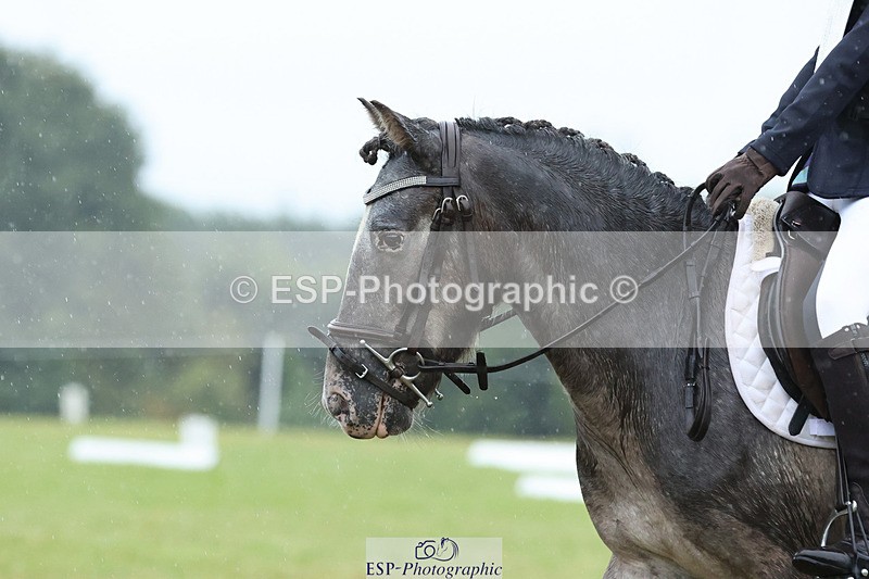 240824X-084427-21854 - D70 Section C and D 8.30 to 9.30