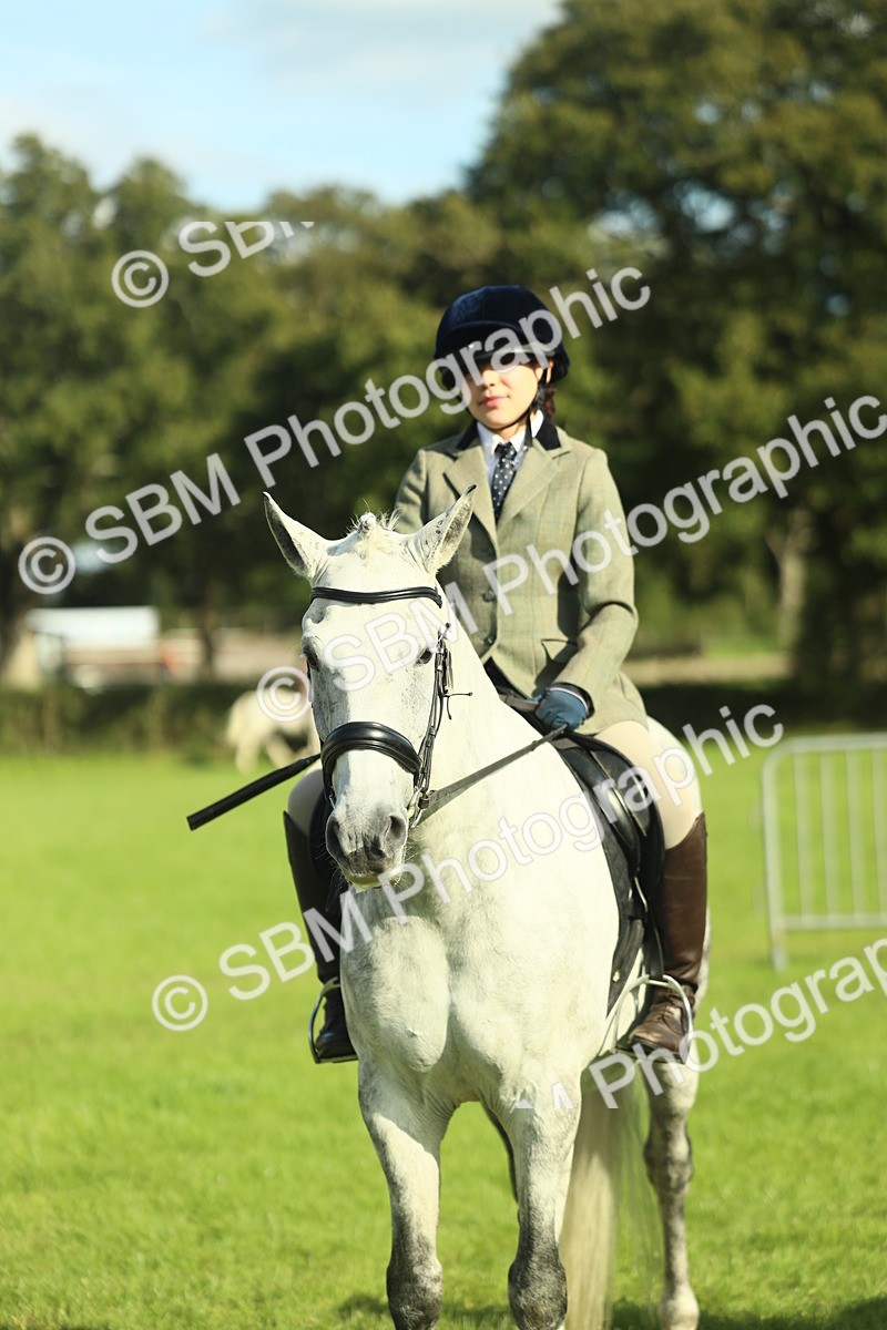 SBM_49846 - S32 - Novice & Newcomers Working Hunter