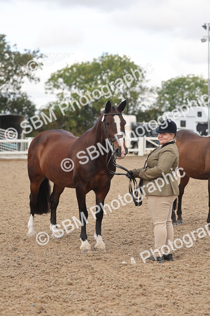 SBM_04356 - Class 17 - Prettiest Mare (IH or Ridden)