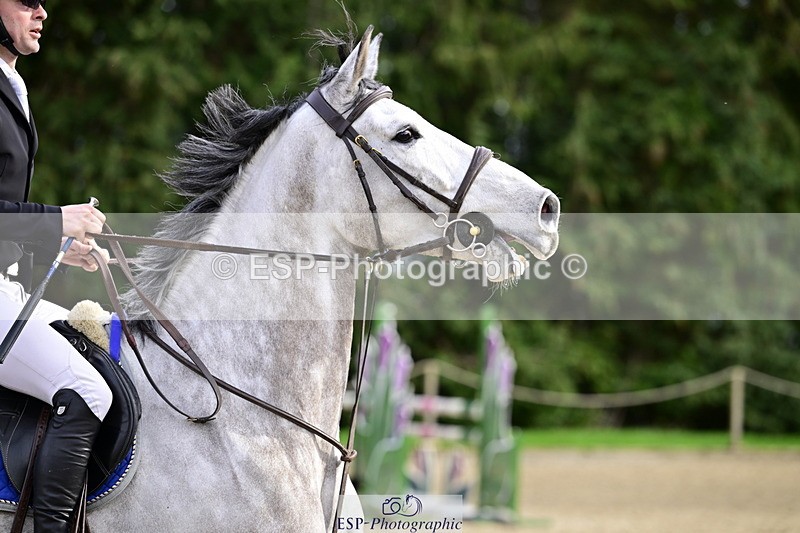 260214A-144600-01037 - 5 Newcomers and 1m 10 Open